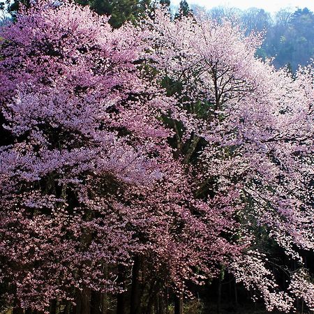 Minamiaizu Aizu Astraea Hotel المظهر الخارجي الصورة